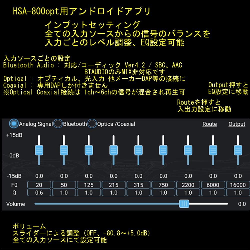 SAIACO サイアコ HSA-800opt　インプット設定